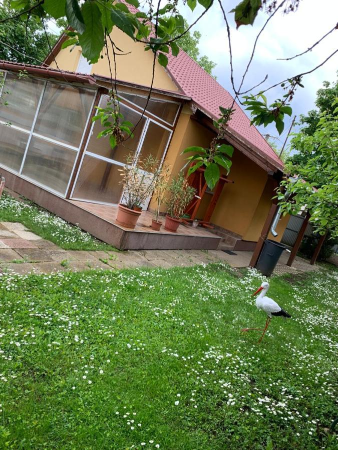 Eoetvoes Vendeghaz Villa Hajdúszoboszló Eksteriør billede